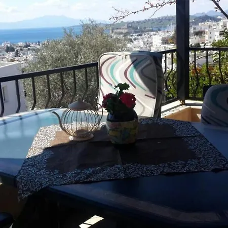 Apartment Centre With Sea View And Large Terrace